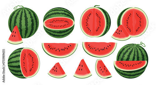 Fresh watermelon slices and whole watermelons for your designs.