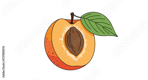 A delicious cut peach with a single leaf attached showing the pit and juicy flesh.