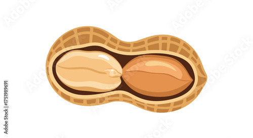 A single peanut shell splits open revealing two perfect halves inside.