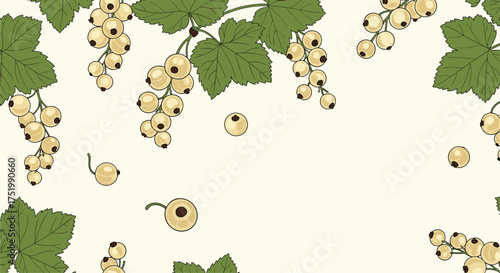 Delicate white currants hanging from green leafy branches on a light background.