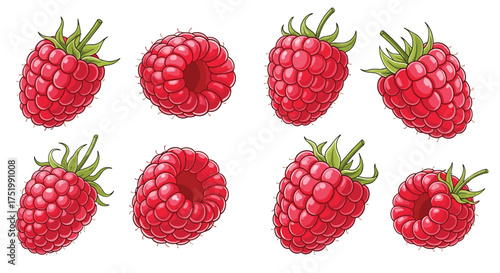 Collection of eight ripe juicy raspberries on a white background.