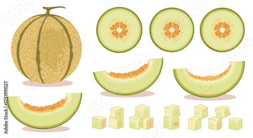 A refreshing assortment of ripe cantaloupe and its various preparations.