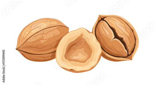 Three whole and half hazelnuts on a white background.