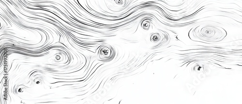 Detailed macro photograph of white wood texture, highlighting the intricate patterns of growth rings in a black and white composition