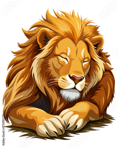 Lion,sleeping , real print Style, white background