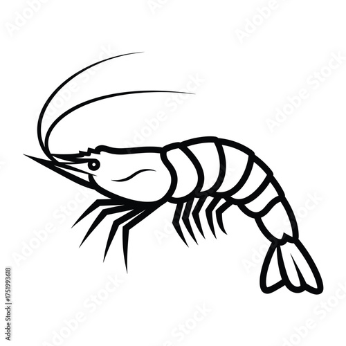Black and white outline drawing of a shrimp Keywords: shrimp, prawn, seafood, crustacean, marine