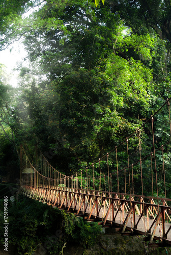 Old Suspension Bridge at Kebun Raya Bogor, Historic Landmark in Bogor Botanical Gardens, Indonesia.