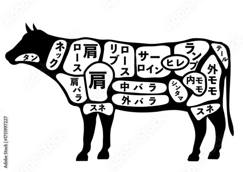 牛肉の部位の各部名称