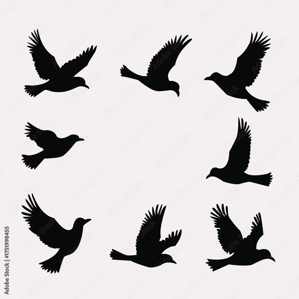 Obraz premium set of silhouettes of birds