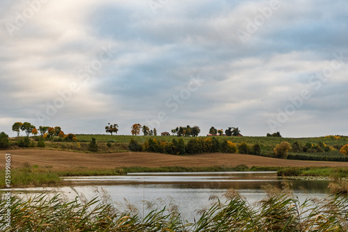 A field with a lake and trees in the background