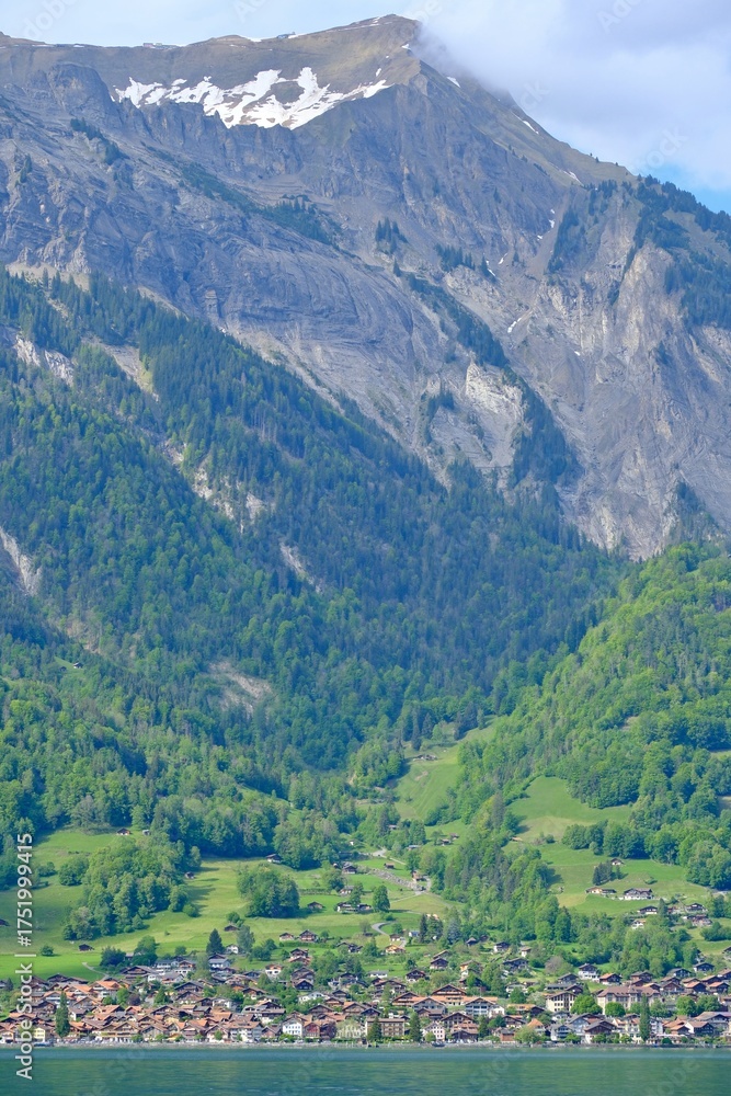 Naklejka premium Idyllic Swiss Alps landscape reminiscent of the Heidi movie