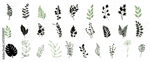 Big hand drawn colorful plant set of wildflowers and ferns - universally usable. Botanical, chic and trendy plants. Elegant leaves for your own design. Flower branch and minimalistic modern plants.