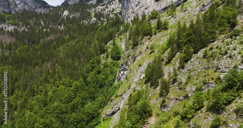 Aerial Drone View of Alpine Forest and Rocky Mountain Slope in Austria