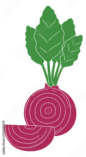 Beetroot Still Life: The vibrant beet, a culinary gem, radiates freshness. A sliced portion reveals its captivating inner design, with lively green leaves enhancing its allure.