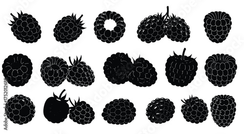 Elegant Raspberry Collection: A curated assortment of luscious raspberries, their intricate details and natural elegance captured in a monochromatic display.