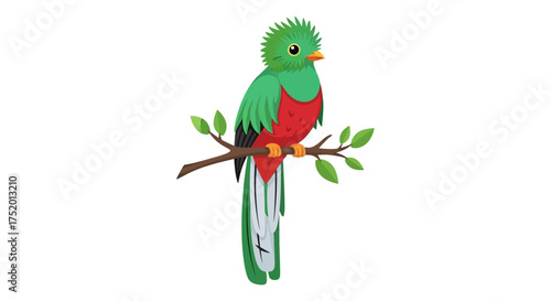 Vibrant quetzal illustration perched on a branch symbolizing beauty and nature's tranquility
