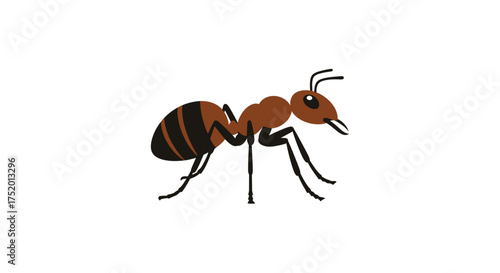 Stylized ant illustration with minimalist design on a clean white background