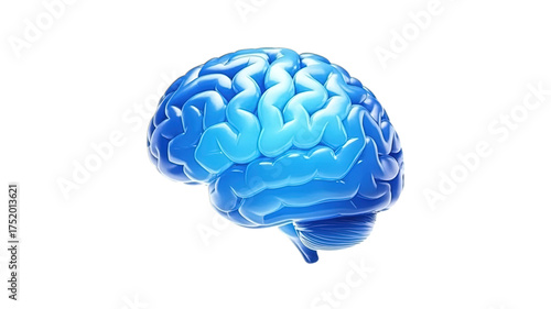 Vibrant blue 3D human brain illustration symbolizing intelligence, thought, and medical science research exploring cognition and mental health