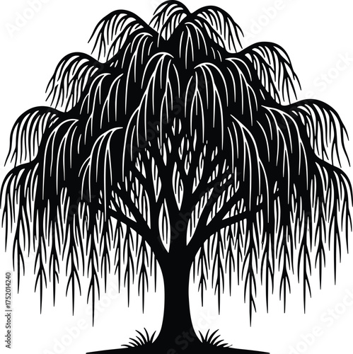 Black silhouette willow tree vector, drooping branches illustration, tranquil nature symbol, graceful botanical design, minimal forest artwork, peaceful landscape element, decorative tree icon
