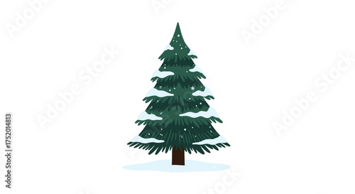 A beautiful evergreen fir tree covered in fresh winter snow stands tall on a bright white background.