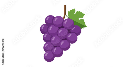 A vibrant illustrated depiction of a cluster of purple grapes with a leafy adornment on a pure