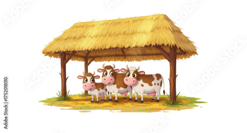 Cattle farm 