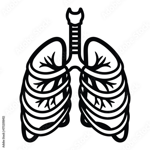 Artistic medical diagram of human lungs and trachea simplified graphic representation of respiratory system anatomy detailed line drawing for educational purposes