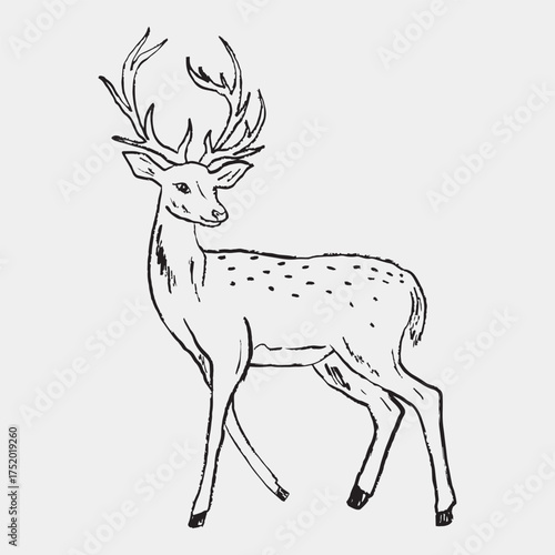 Hand drawn deer with horns standing. Vector sketch illustration in vintage crayon textured style. Wild forest animal design, winter, Christmas symbol