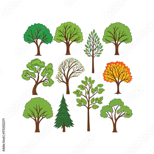 Collection of diverse trees with leafy green and autumn foliage showing different shapes and textures