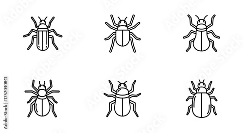 Beetle insect bug line art icon set. A collection of 6 simple vector outline illustrations. Symbols for nature, entomology, biology, and pest control concepts. Minimalist design.