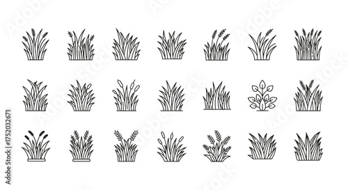 Big set of grass line icons. Reed, cattail, wheat, sedge, and lawn plant collection. Minimalist outline symbols for nature, garden, agriculture, ecology. Vector elements.