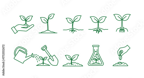 Plant growth stages vector icon set. Sprout, seedling, roots in soil. Hand planting seed, watering can. Gardening, agriculture, botany science. Eco farming, sustainability. Nature life cycle.