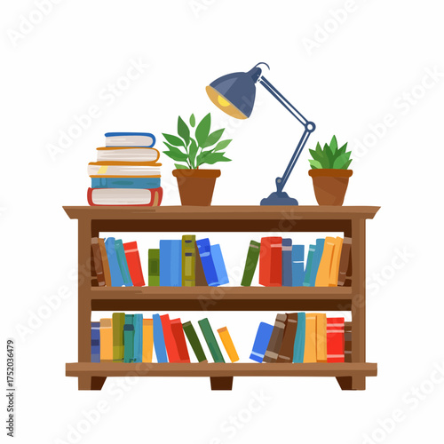 Wooden Bookcase with Colorful Books Plants and a Desk Lamp on White Background