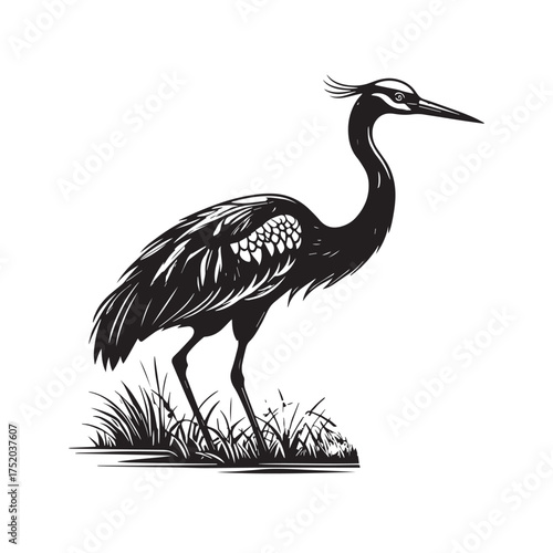 Exotic crane or heron bird

