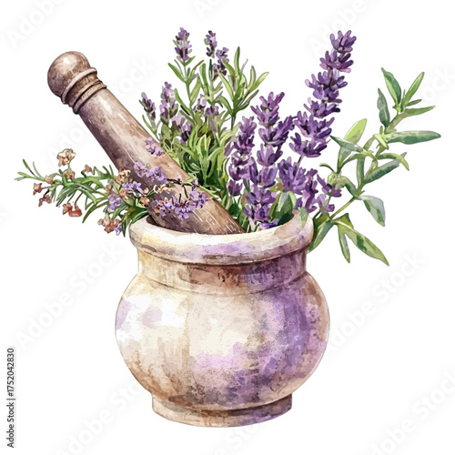 Watercolor Mortar and Pestle with Fresh Lavender and Herbs
