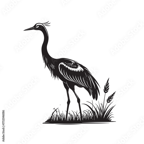 Exotic crane or heron bird
