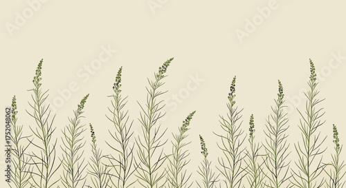 A horizontal line of delicate green grass stalks reaching upwards on a muted beige background.