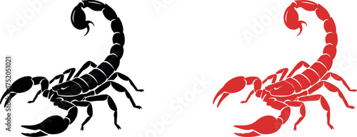 scorpion, insect, animal, venom, sting, arachnid, danger, silhouette, wildlife, tattoo, zodiac, predator, red, black, illustration,
