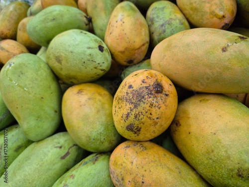 Closeup of fresh mangoes arranged in a mart