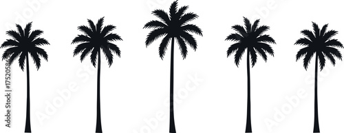 palm, tree, tropical, summer, beach, exotic, nature, silhouette, paradise, vacation, holiday, landscape, minimal, vector, island,
palm tree, tropical beach, exotic nature, summer n