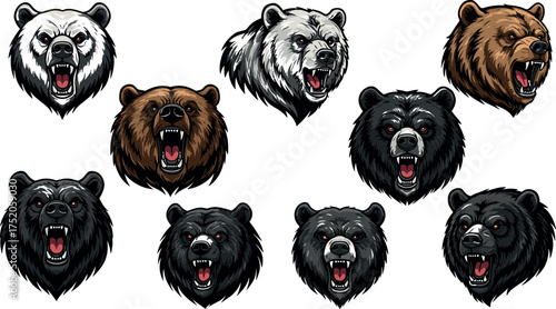 bear, grizzly, wild, animal, mascot, predator, roar, emblem, angry, artwork, fierce, nature, head, illustration, aggressive,
bear head, angry bear, roaring bear, wild animal, 