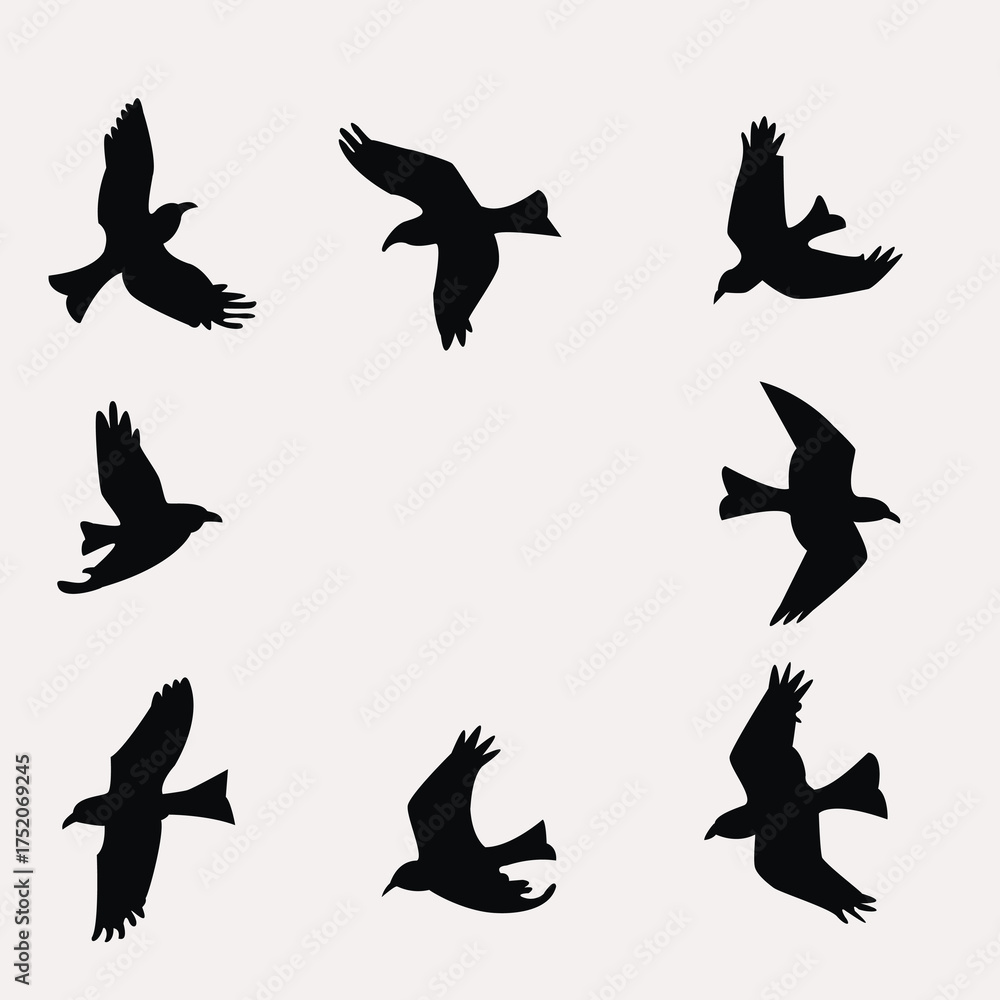 Fototapeta premium set of silhouettes of birds