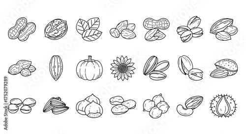 Nuts and seeds line icon collection. Peanut, walnut, almond, pistachio, cashew, hazelnut. Healthy organic food, vegan snack. Hand drawn doodle vector illustration set.