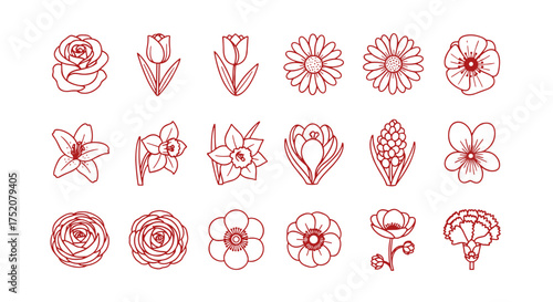 Flower icon collection. Big set of floral linear symbols. Rose, tulip, poppy, lily, daffodil, crocus, carnation, daisy. Garden & spring flowers vector outline illustration.