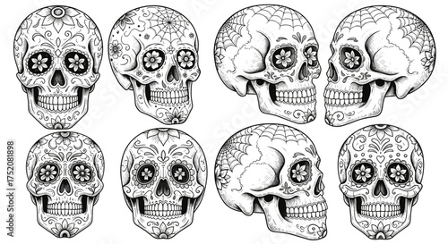 Sugar skull collection from different angles and sides for Dia de los Muertos and Halloween design engraving sketch hand drawn style black and white vintage illustration vector