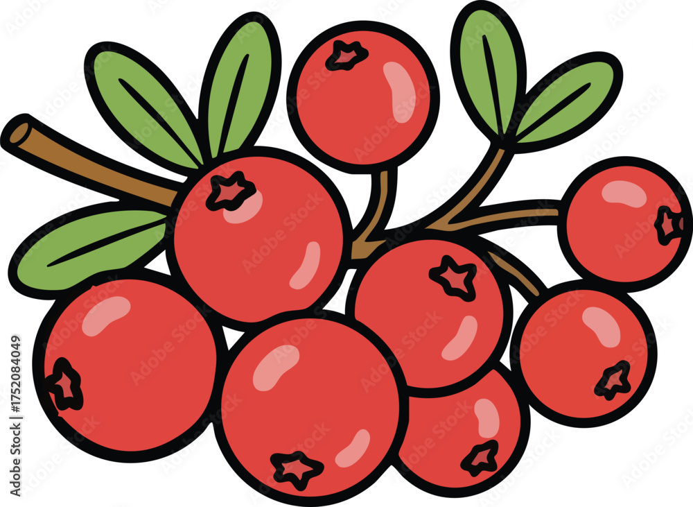 Obraz premium Cranberry berries vector illustration