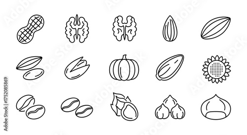 Nuts and seeds icon set. Collection of line art symbols for healthy food and snacks. Vector illustration of peanut, walnut, almond, pistachio, coffee beans and more.