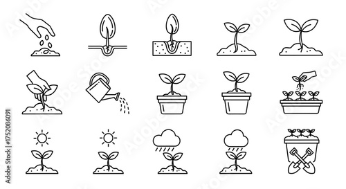 Plant growth stages icon set. Sowing seed, germination, watering, planting sprout. Gardening and agriculture life cycle infographic. Vector outline icons for cultivation process.