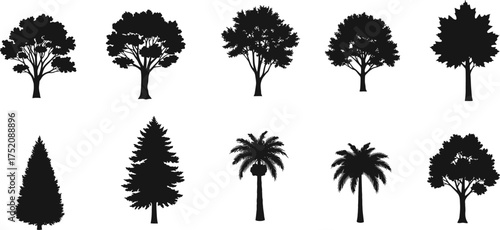 A collection of black silhouettes of various types of trees, including deciduous, coniferous, and palm trees, arranged in two rows against a white background.