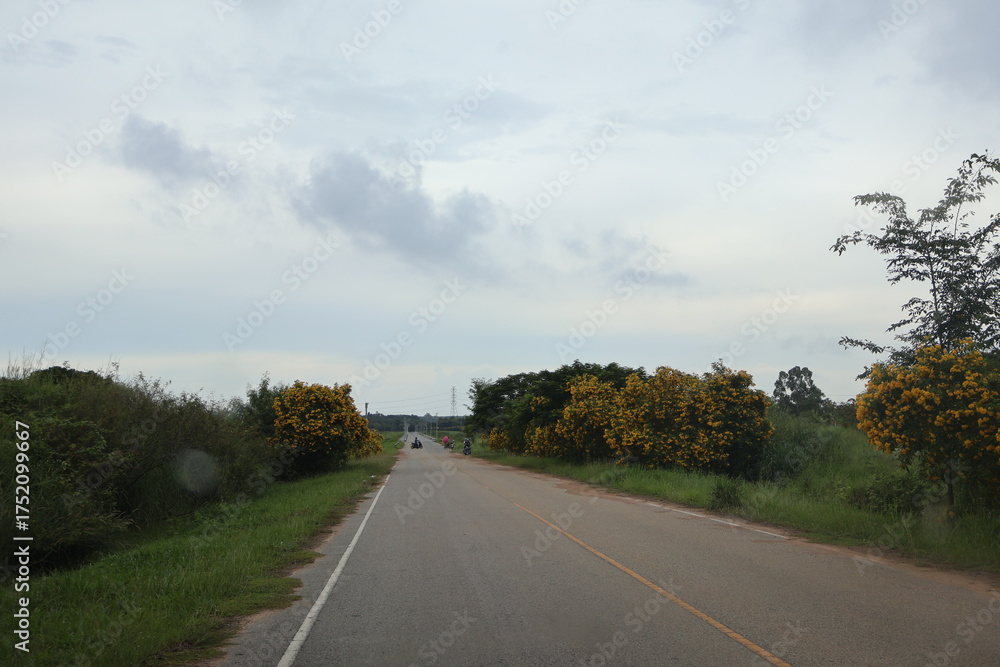 Fototapeta premium Scenic country road, peaceful rural setting with lush greenery and overcast sky, ideal for travel blogs and nature themes.